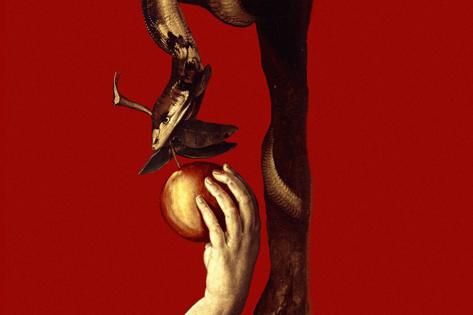 নিষিদ্ধ বৃক্ষ, দ্য পাবলিশ The Publish